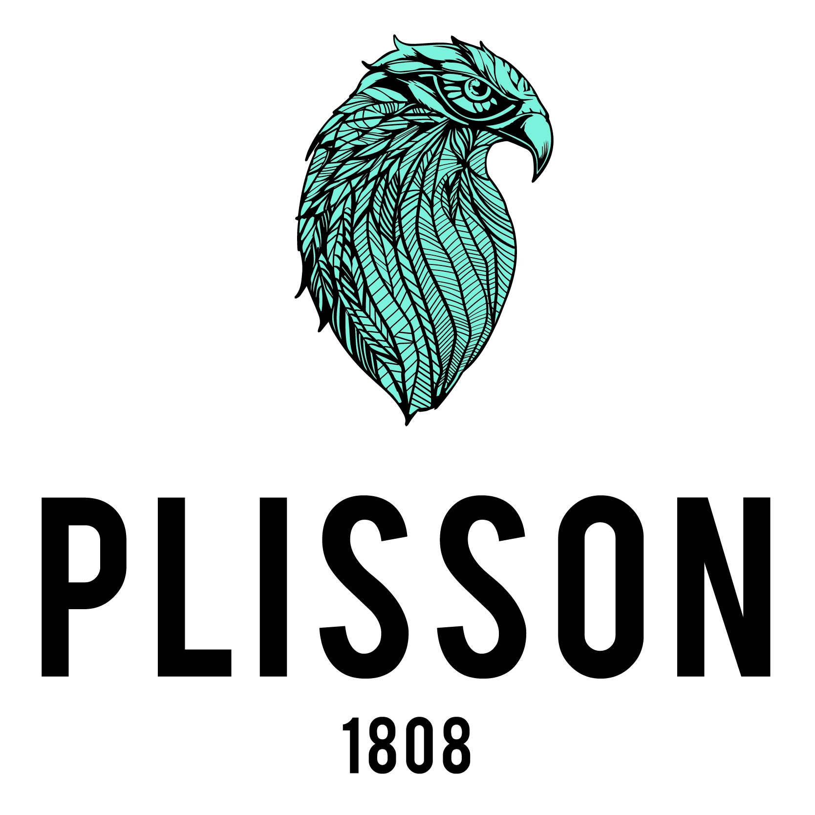 Vikim Diffusion (Plisson) - Breizh Invest PME